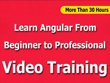 Learn Angular From Beginner to Professional Video Training Tutorials CBT- 30+ Hr picture