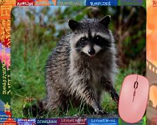 Cute Raccoon  mouse pad picture