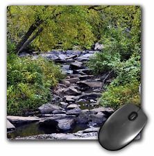 3dRose Picture of a Creek MousePad picture