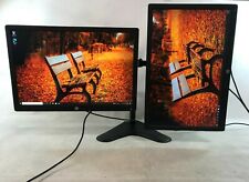 Dual 2x HP E242Professional Widescreen 24inch IPS LED Monitor W/Dual Stand+Wires picture