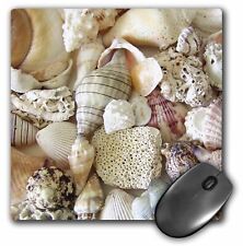 3dRose Florida Seashells II MousePad picture