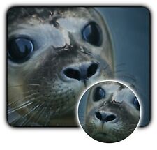 Seal Close Huge Eyes - Mouse Pad + Coaster -1/4