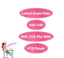 SAP-C01 Exam AWS Certified Solutions Architect Professional VCE,PDF 880  2024 picture