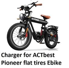 Battery SMART Charger For ACTbest pioneer flat tires Electric Bike Ebike XLR picture