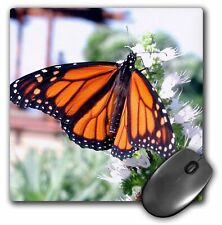 3dRose Monarch Butterfly MousePad picture