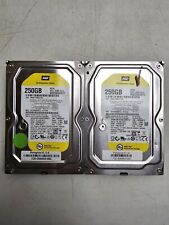 Lot of Two (2) Western Digital Enterprise-Class WD Re 250GB 64MB WD2503ABYZ picture