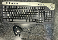 Dell PS2 Multimedia Keyboard Black & Silver - Wireless picture
