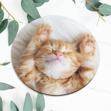 Cute Sleepy Cat Kitten Animal Mouse Pad Mat Office Desk Table Accessory Gift picture