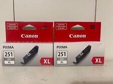 New Canon Pixma CLI-251XL Gray Ink Cartridge 2 Pack picture