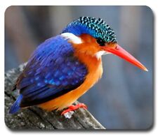 Malachite Kingfisher ~ Mouse Pad / PC Mousepad ~ Bird Watching Birding Gift picture
