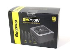 Segotep 750W ATX Fully Modular Power Supply PSU 80+ Gold GM750W picture