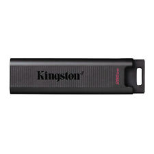 Kingston 256GB DataTraveler Max USB 3.2 Gen 2 Type C Flash Drive picture