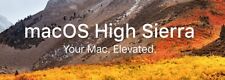 MacOS Bootable USB 2-in-1 (Sierra/High Sierra) Installer Restore/Recovery Drive picture