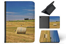 CASE COVER FOR APPLE IPAD|FARM FIELD OF HAYSTACKS #1 picture