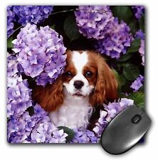 3dRose Cavalier King Charles Spaniel MousePad picture