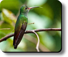 Decorative Mouse Pad Art Print Hummingbird Non-Slip 1/8in or 1/4in Thick picture