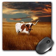 3dRose A Texas Longhorn MousePad picture
