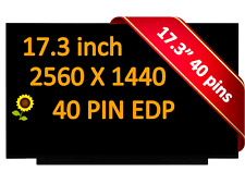 165hz QHD Display f Acer Nitro 17 Model N23Q4 AN17-51-70CB LCD LED 17.3
