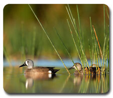Blue-Winged Teal Ducks ~ Mousepad / PC Mouse Pad ~ Gifts Hunter Hunting Outdoors picture