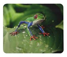 Akame Tree Frog Mouse Pad 2 Photopad Frogs of the World series A picture