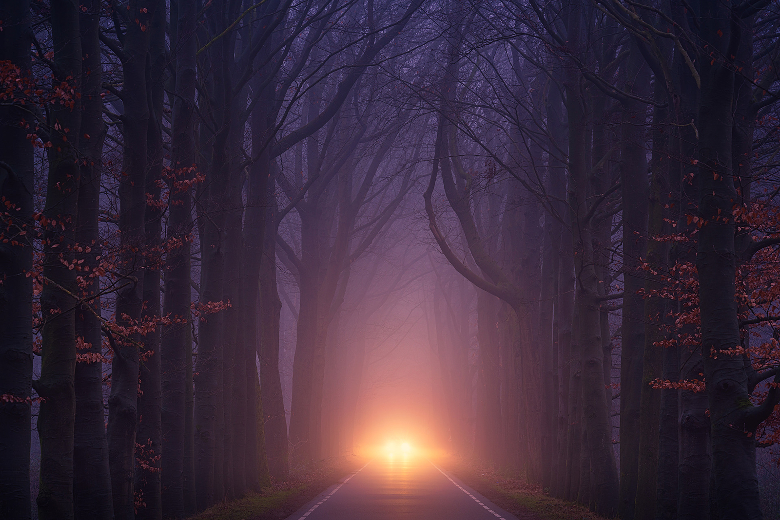 Landscape seasons road trees lights fall purple low Custom Gaming Mat Desk