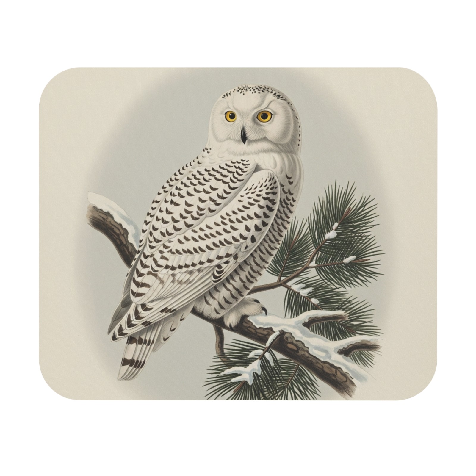 Snowy Owl Mouse Pad bird watcher avian desk office nature bird of prey winter