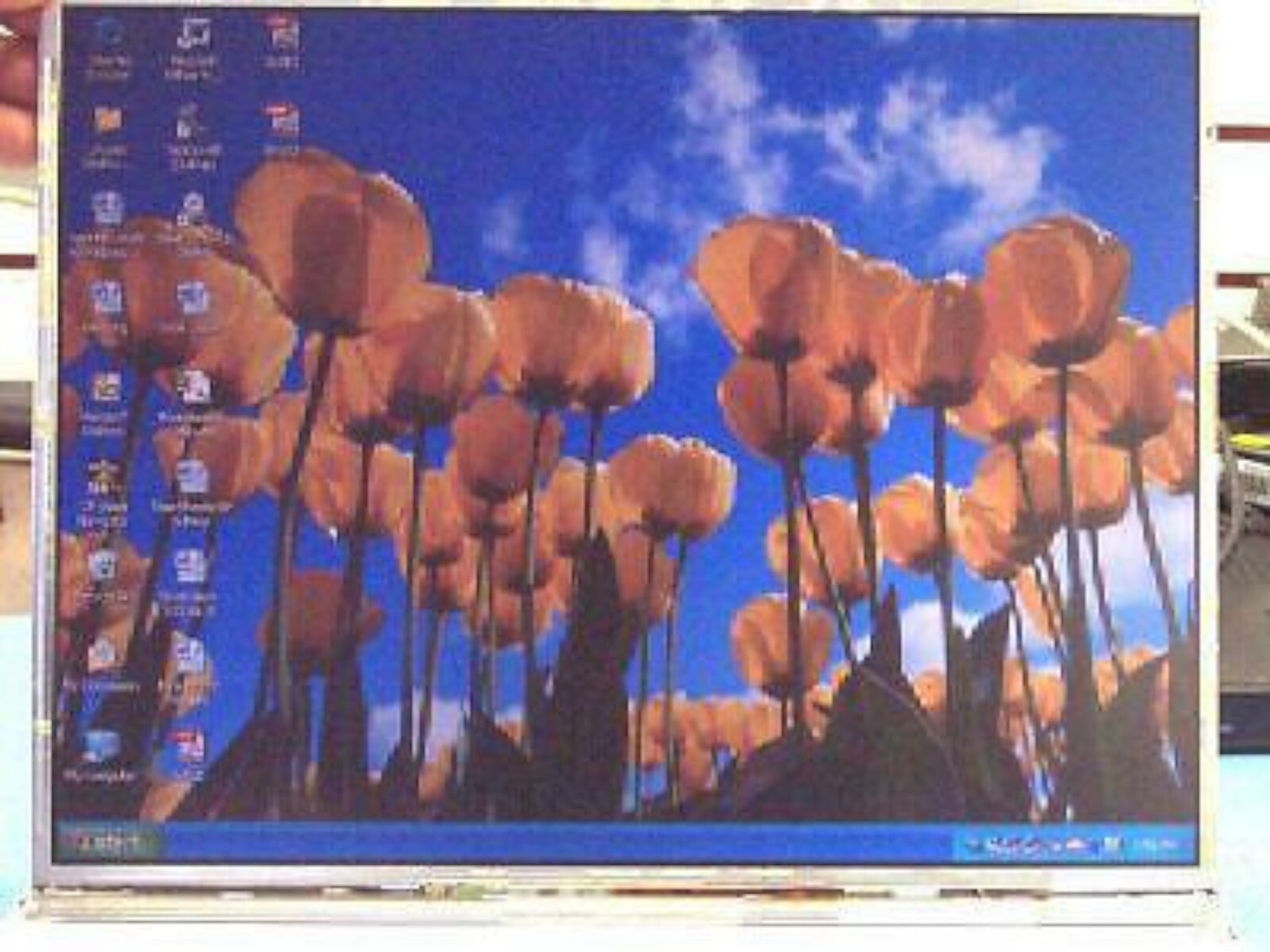 Sony Vaio PCG-NV170 NV190 Laptop 15" LCD LQ150F1LW14