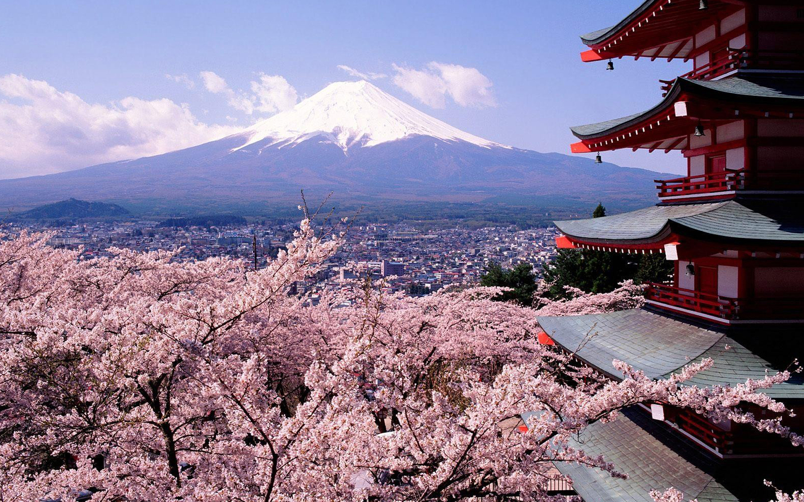 Landscape japan cherry blossom mount fuji Custom Gaming Mat Desk