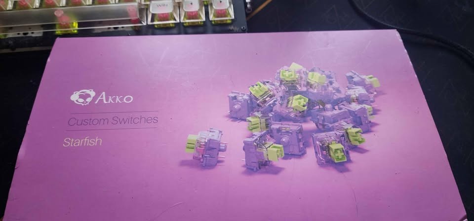 Akko Starfish Custom Keyboard Switches 45pc Limited edition