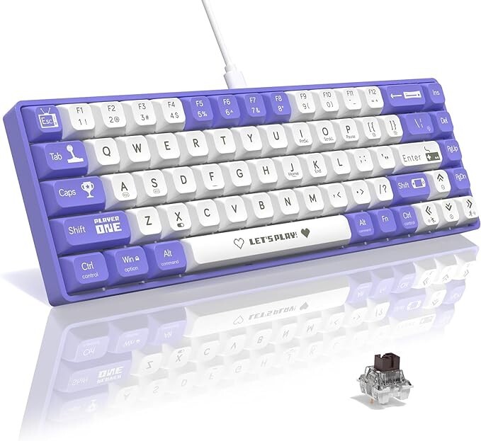 AJAZZ AK680 60% Wired Mechanical Gaming Keyboard,Hot-Swappable Rainbow Backlit