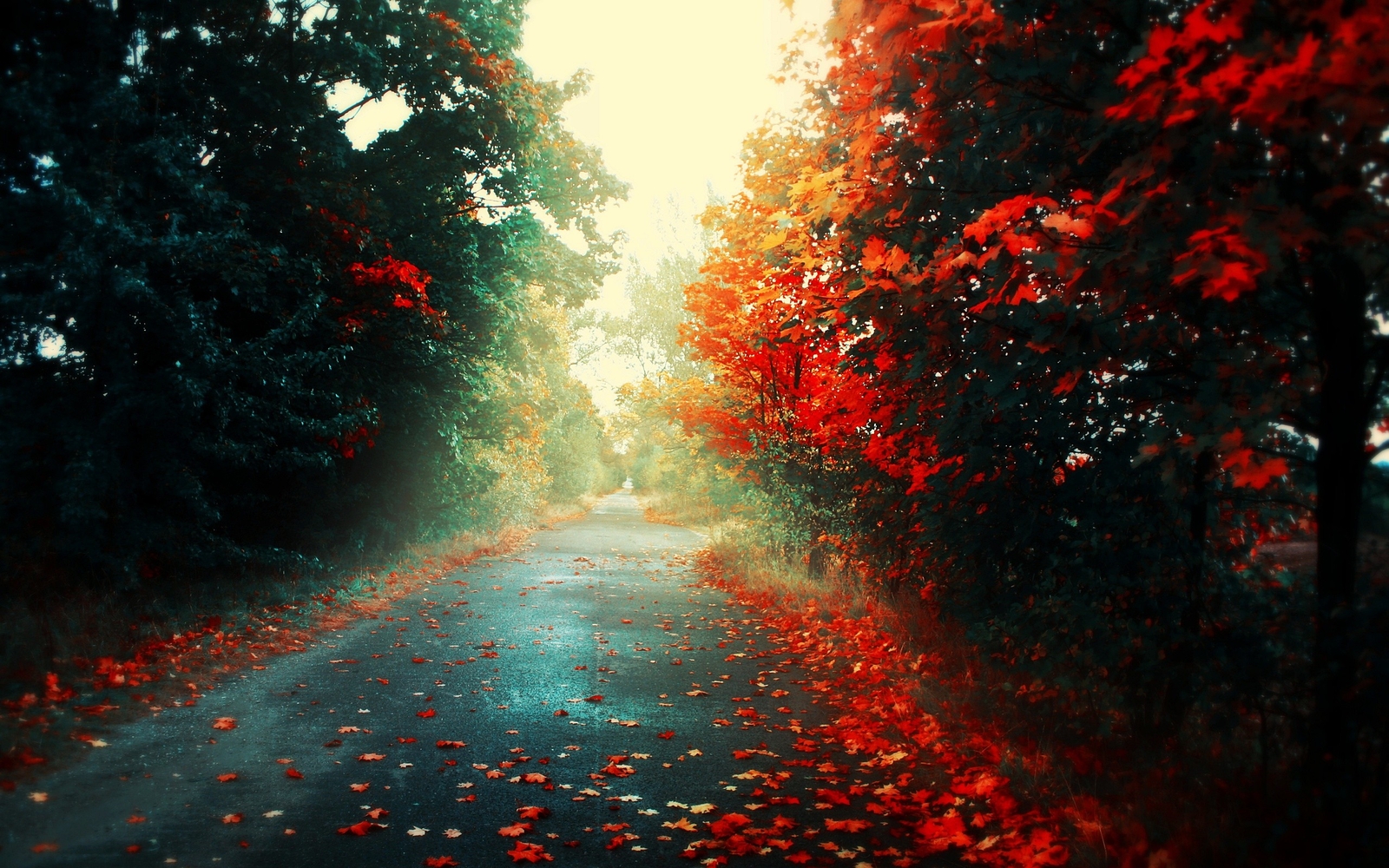 Landscape red leaves road forest fall trees fallen Custom Gaming Mat Desk