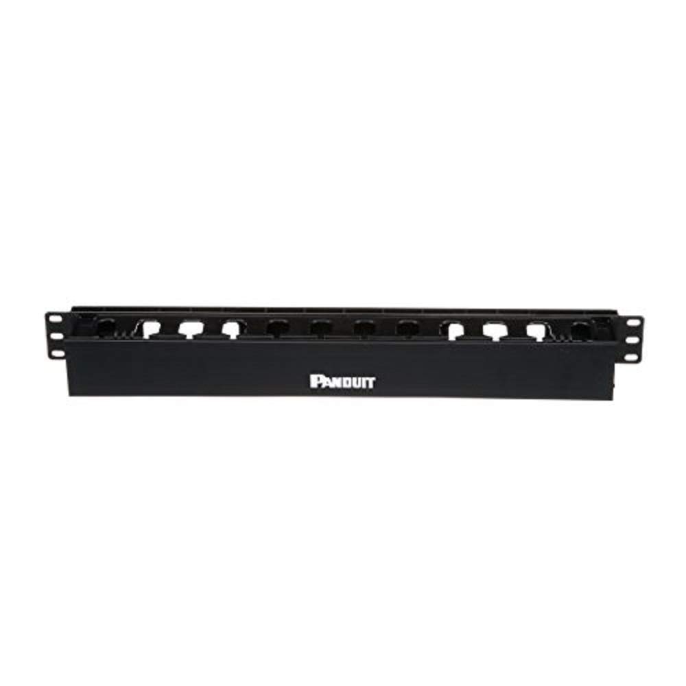 PANDUIT Hinged Ducted Horizontal Cable Management Panel, Surface Duct, 1U