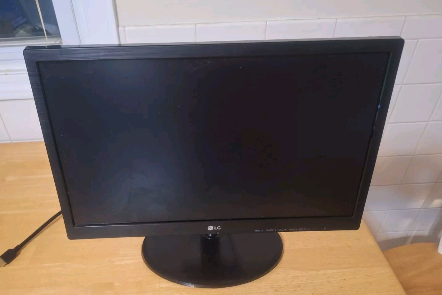 LG 19" LED MONITOR 19M38D-B With Stand And 2 Cords. Tested. Works.