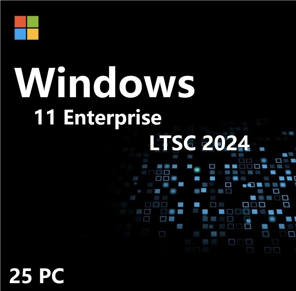 Windows 11 Enterprise LTSC 2024 High End 25PC Use For Multiple Devices ✔ USB