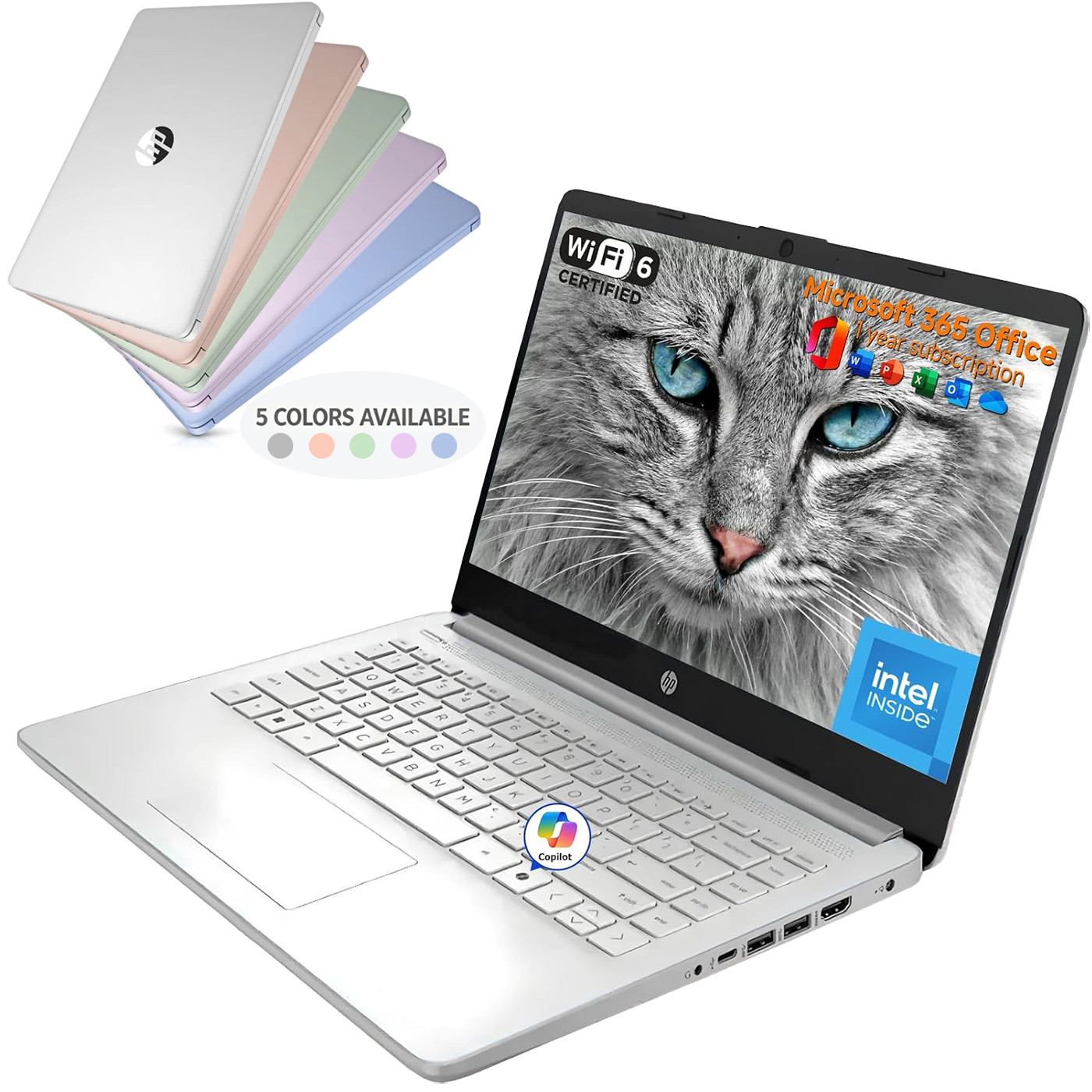 HP 14" Laptop, Intel Processor N150, Up To 32GB RAM 384GB Storage, Win11 Pro