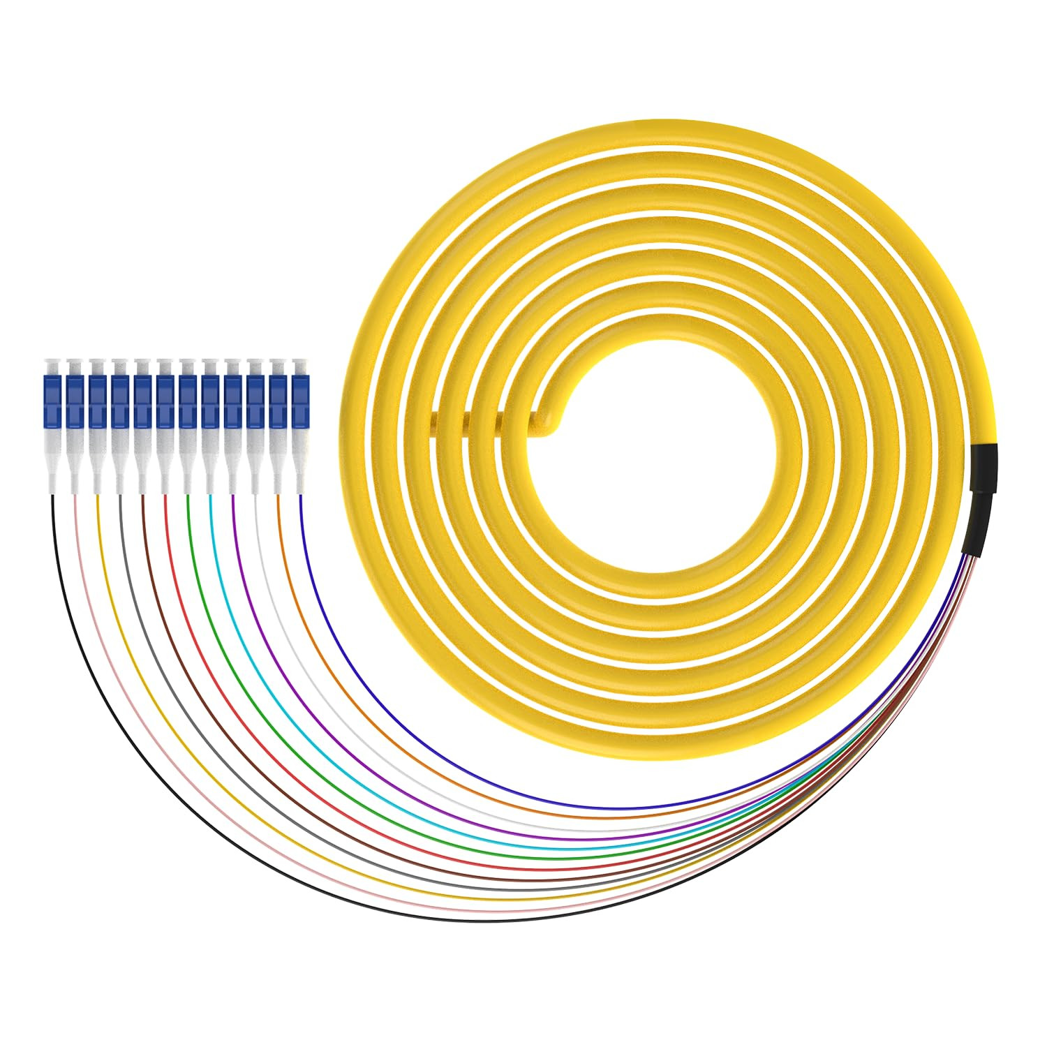 1.5M LC-UPC 12 Strand Single Mode 9/125 Fiber Optic Pigtail, Color-Coded