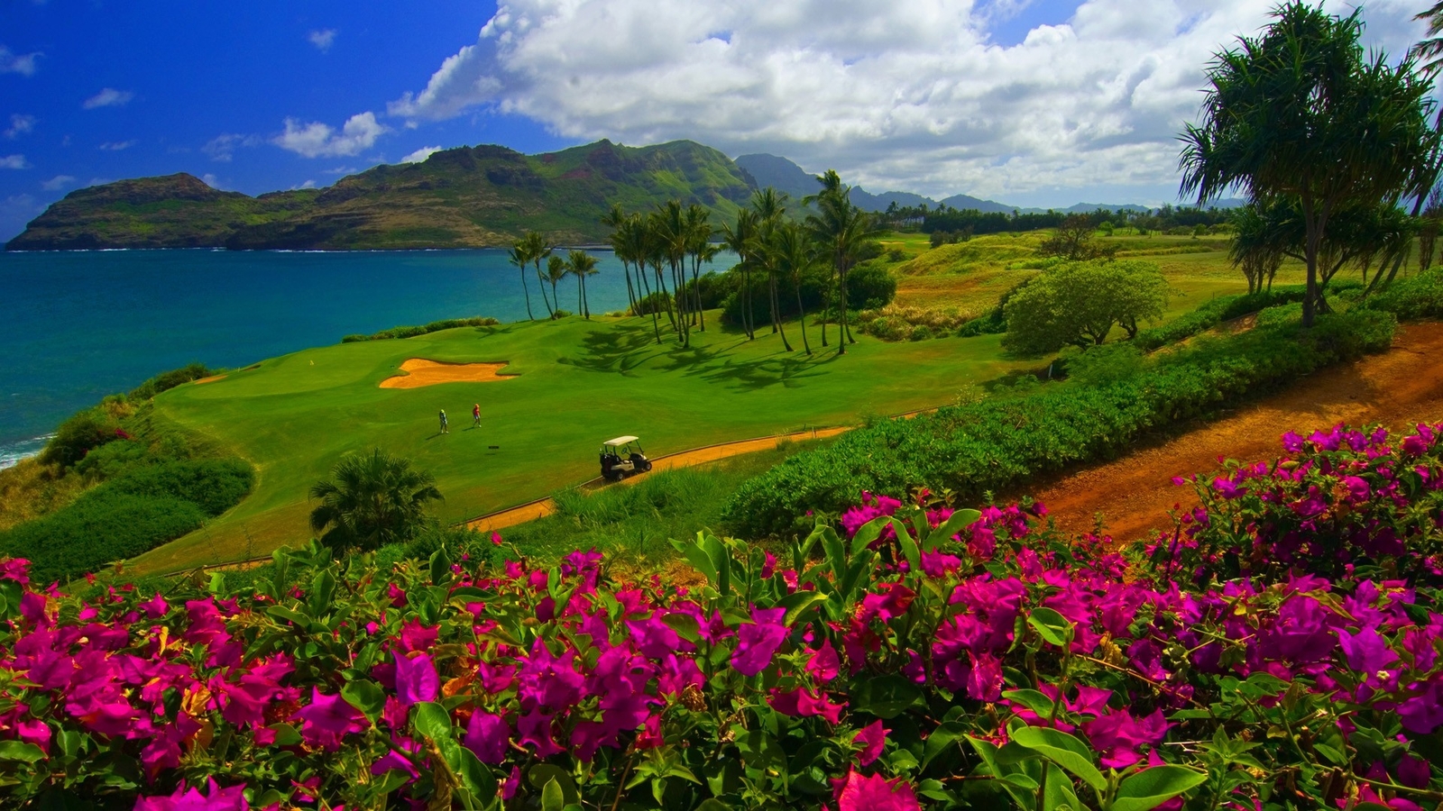 Landscape nature water trees sea hawaii golf course Custom Gaming Mat Desk