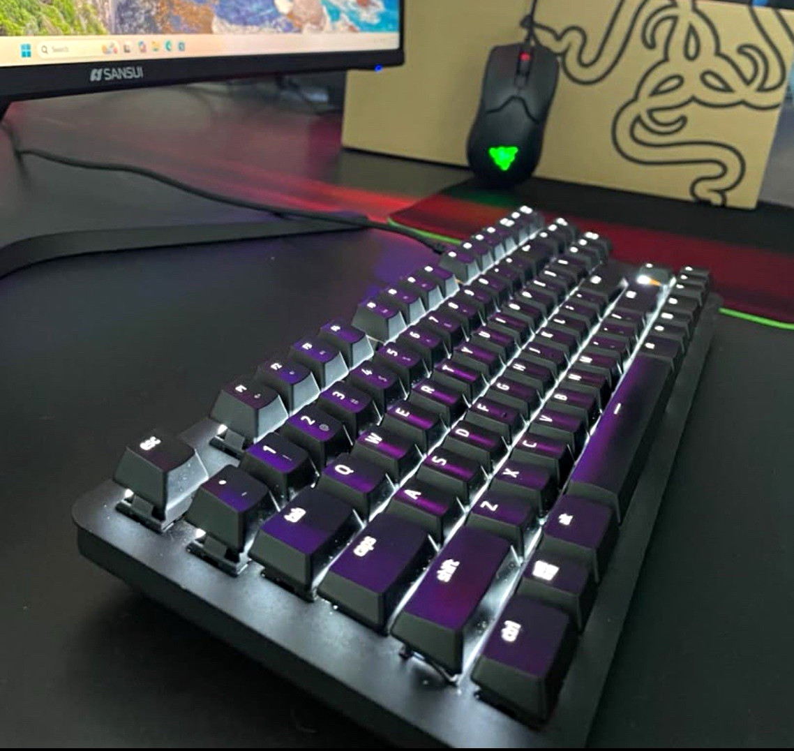 Razer Peripherals Set (Blackwidow, Viper 8K, Gigantus)