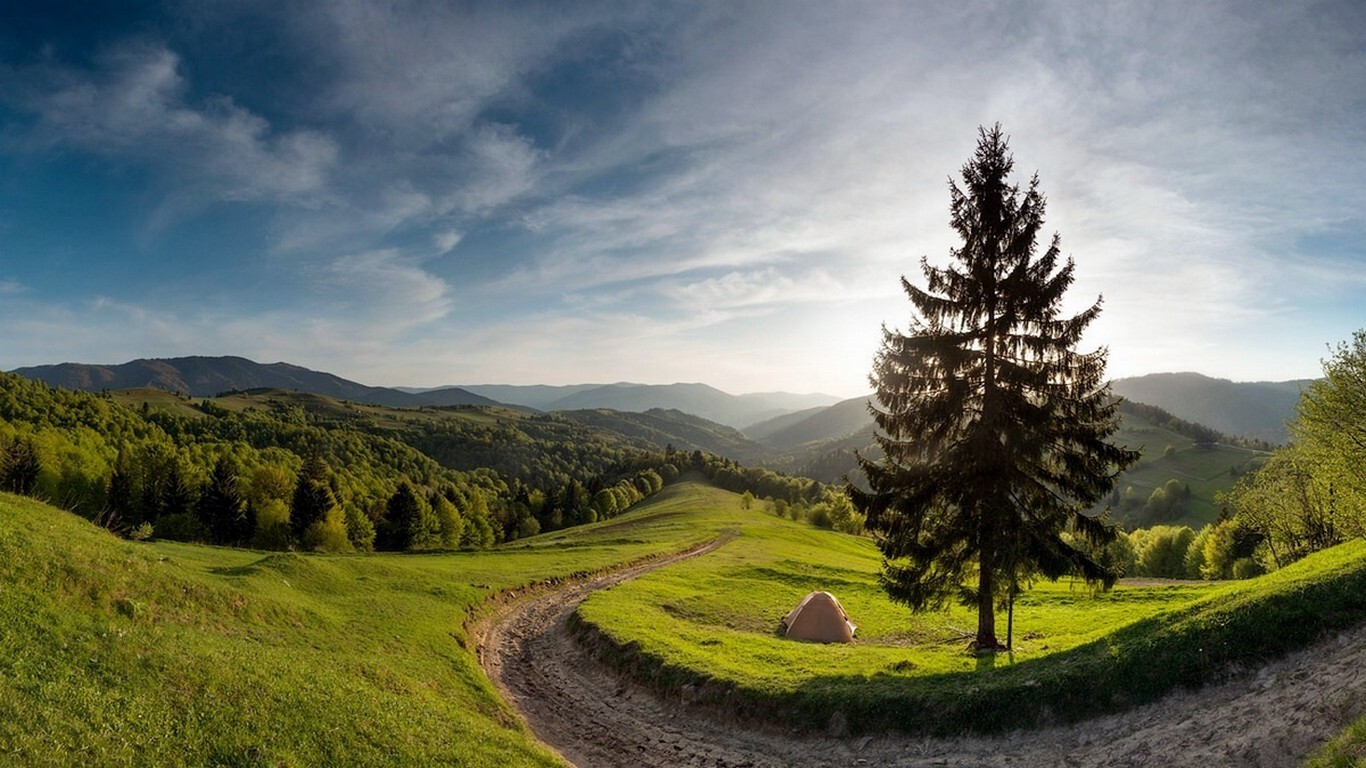 Landscape nature spring forest mountains path morning Custom Gaming Mat Desk