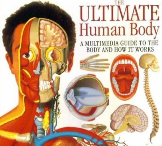 The Ultimate Human Body PC CD learn about bones muscles organs brain cells etc