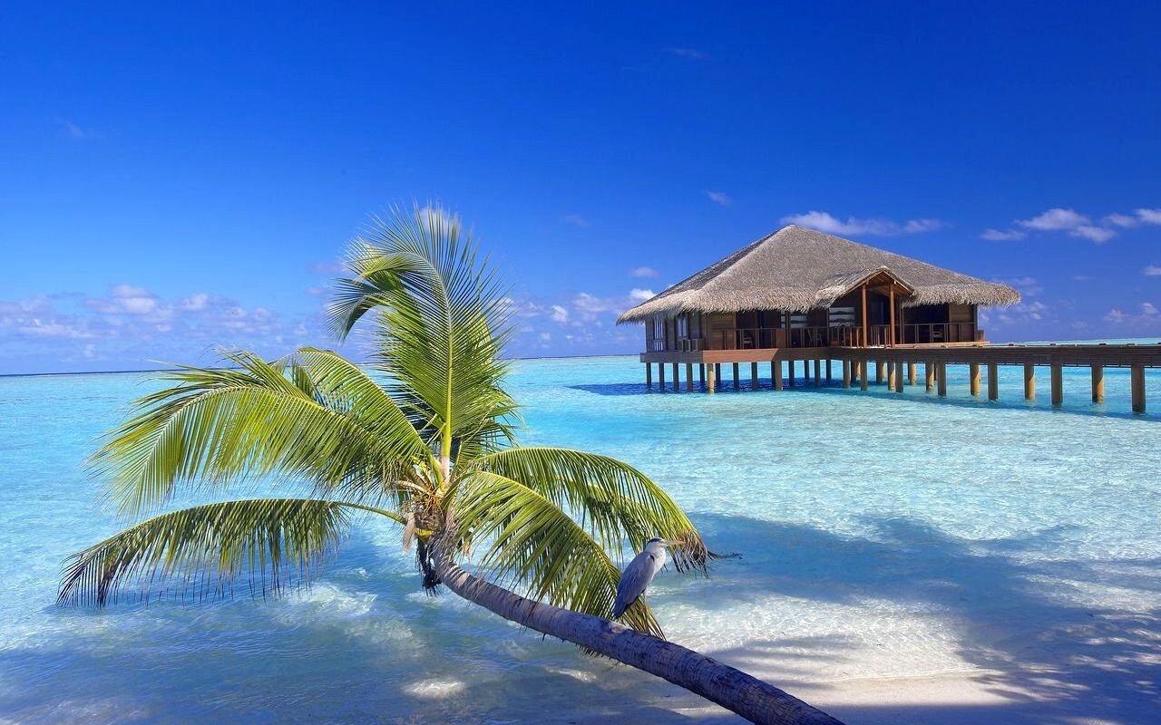 Landscape maldives resort beach palm trees sand birds Custom Gaming Mat Desk