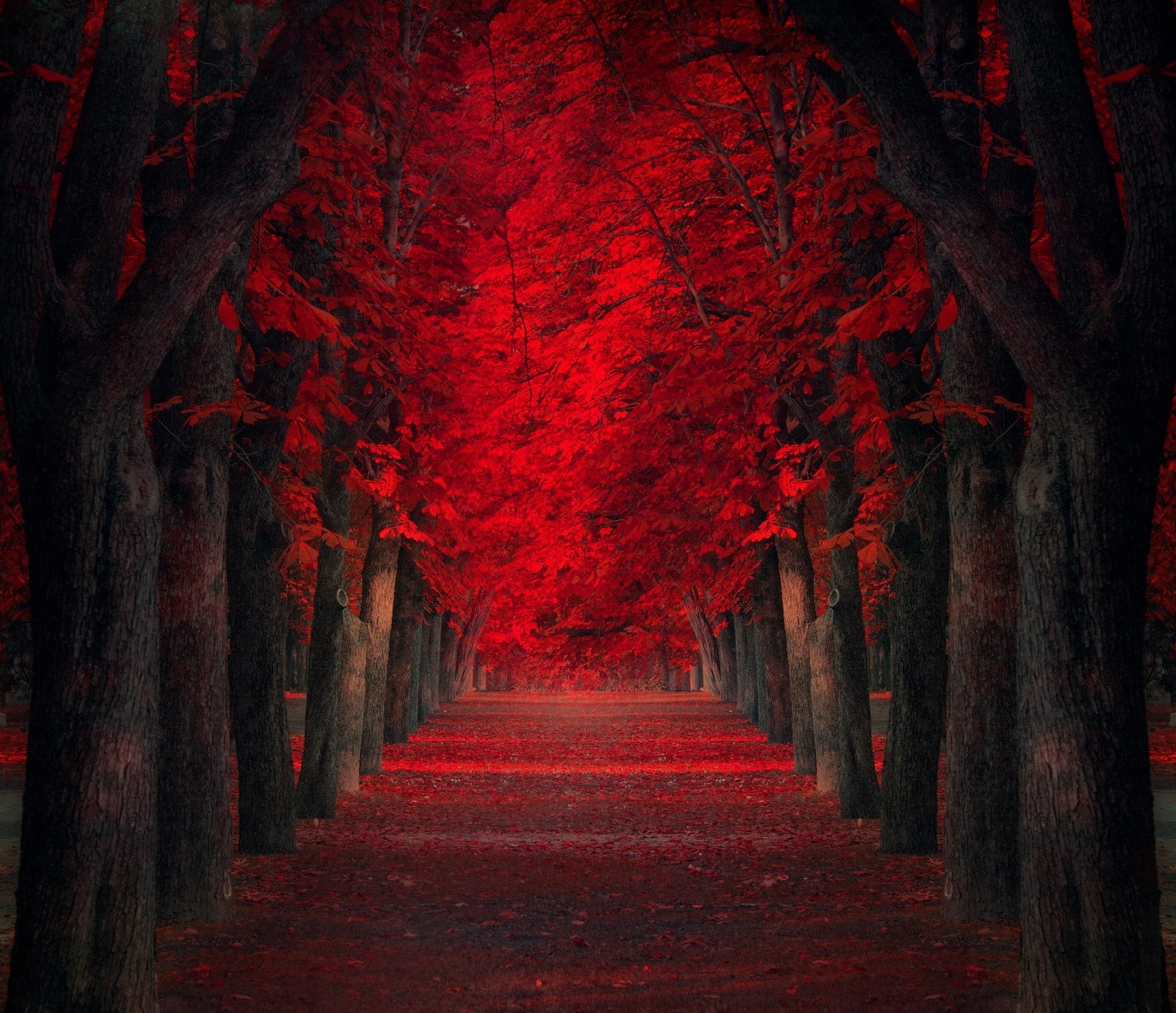 Landscape path trees red leaves fall park Custom Gaming Mat Desk