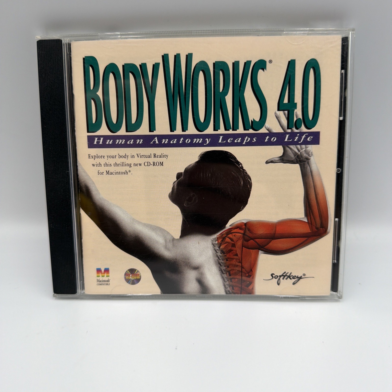 VTG BodyWorks 4.0 CD-ROM Windows 1995  SoftKey Human Anatomy 
