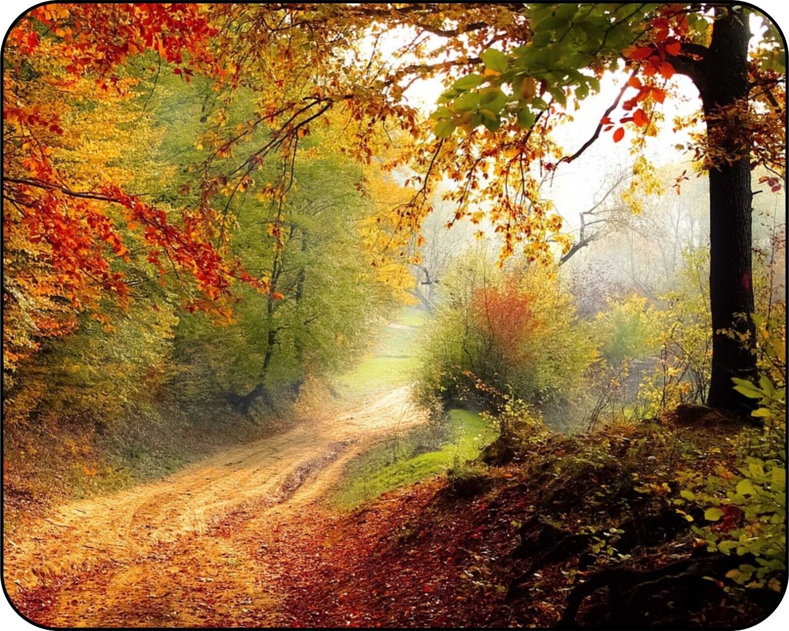 Deep Green Forest in the Fall  Colorful  Photo Art Designs  Mouse Pad