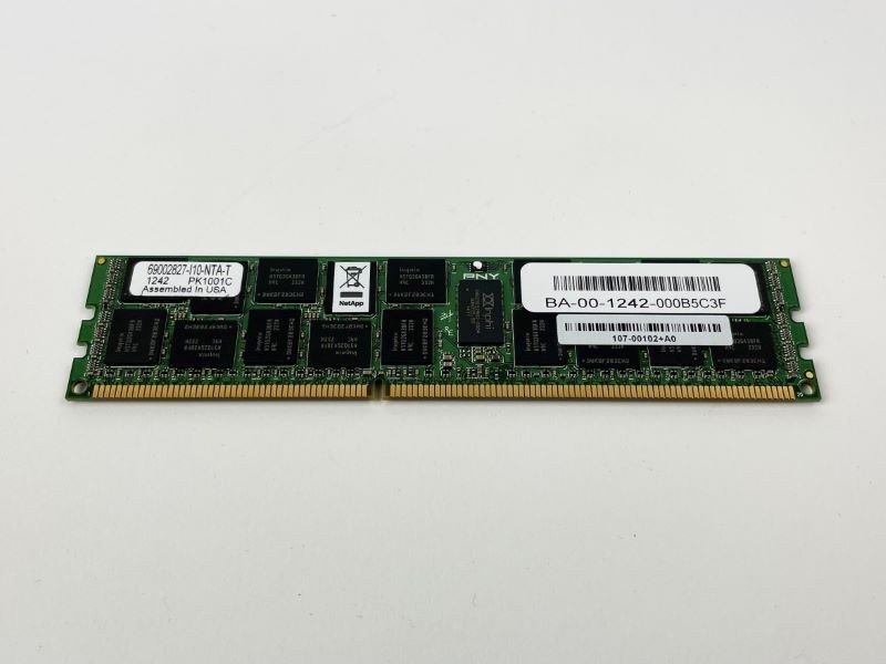 NetApp 107-00102 8GB RAM FAS62X0