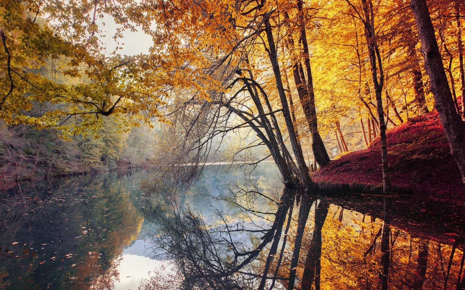 Landscape nature fall trees yellow red leaves mist river Custom Gaming Mat Desk