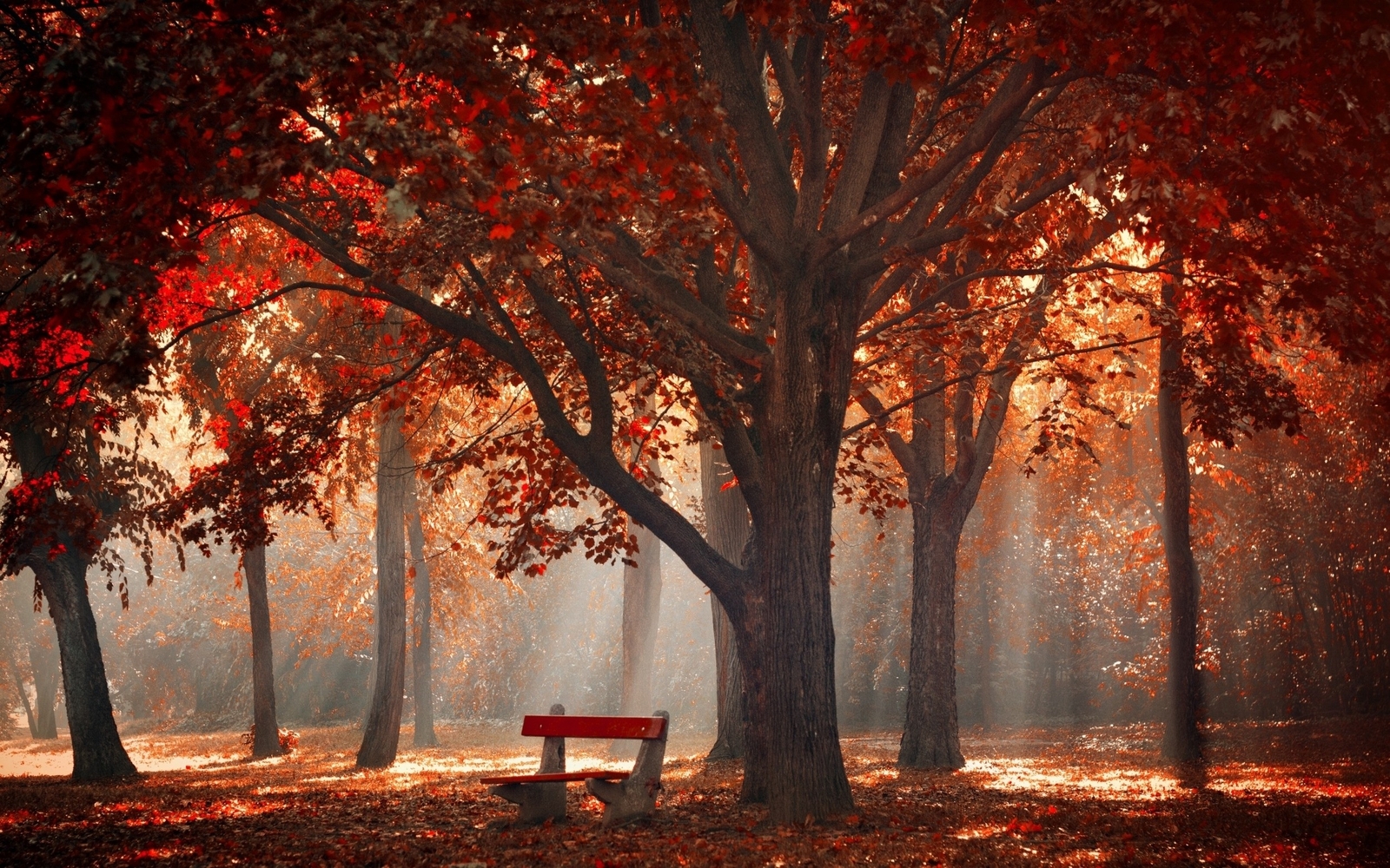 Landscape park trees fall mist leaves bench sun rays Custom Gaming Mat Desk
