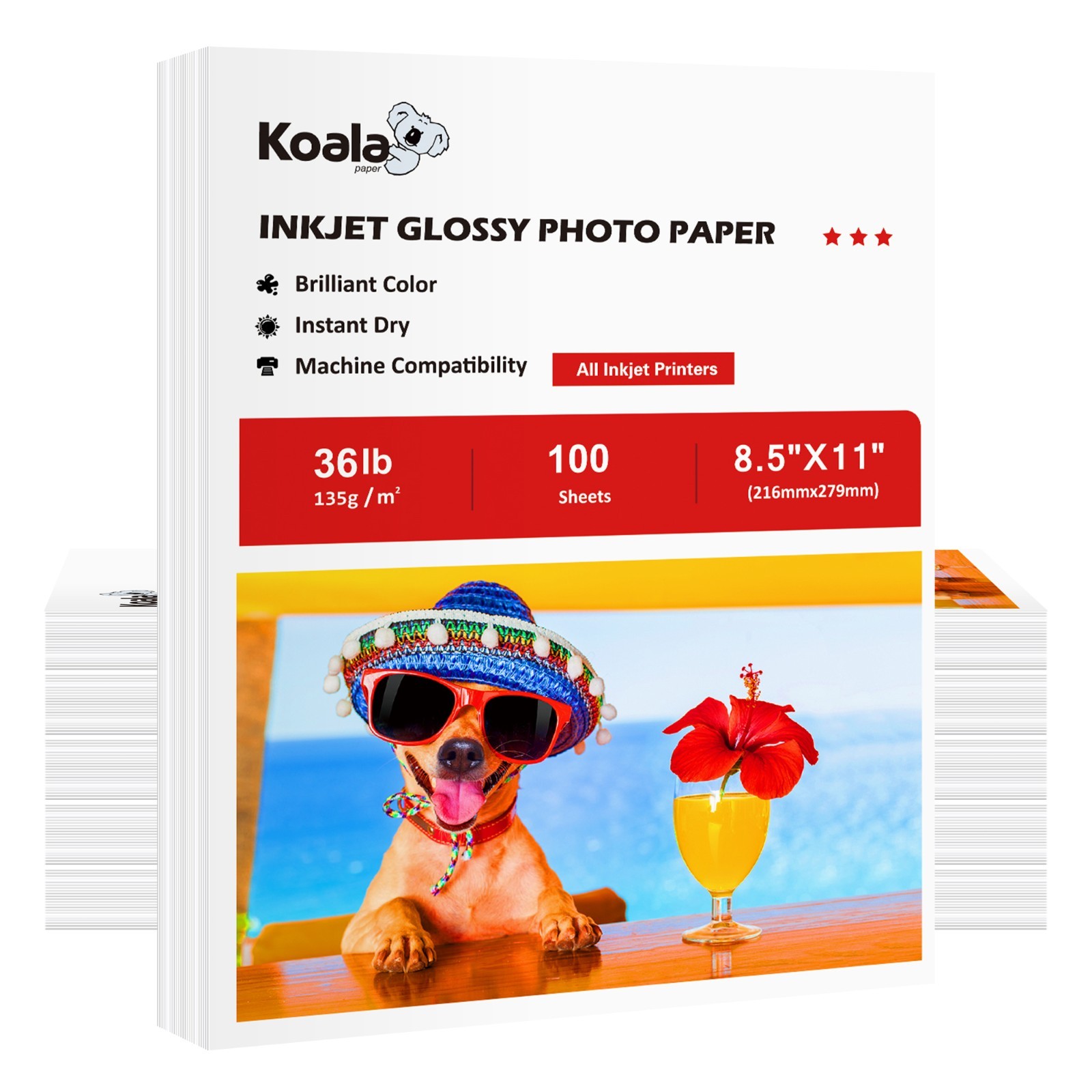 1000 Sheet Koala 36lb Glossy Photo Paper 8.5x11 135g Inkjet Printer DIY Brochure