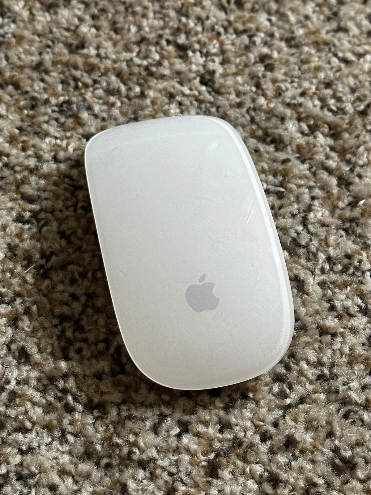 Apple A1296 Wireless Tactile/Multi-Touch Mouse - MB829LL/A