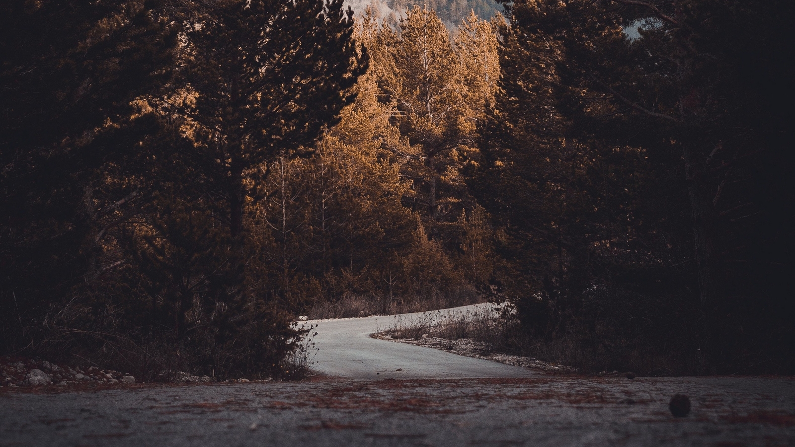 Landscape nature trees road leaves Custom Gaming Mat Desk